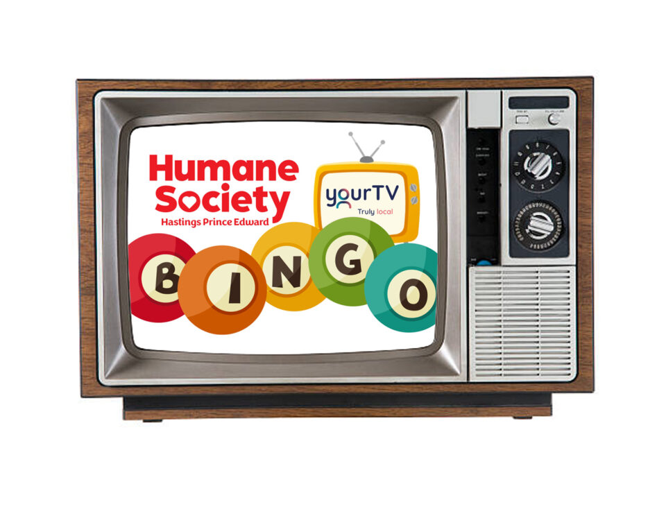HSHPE TV Bingo