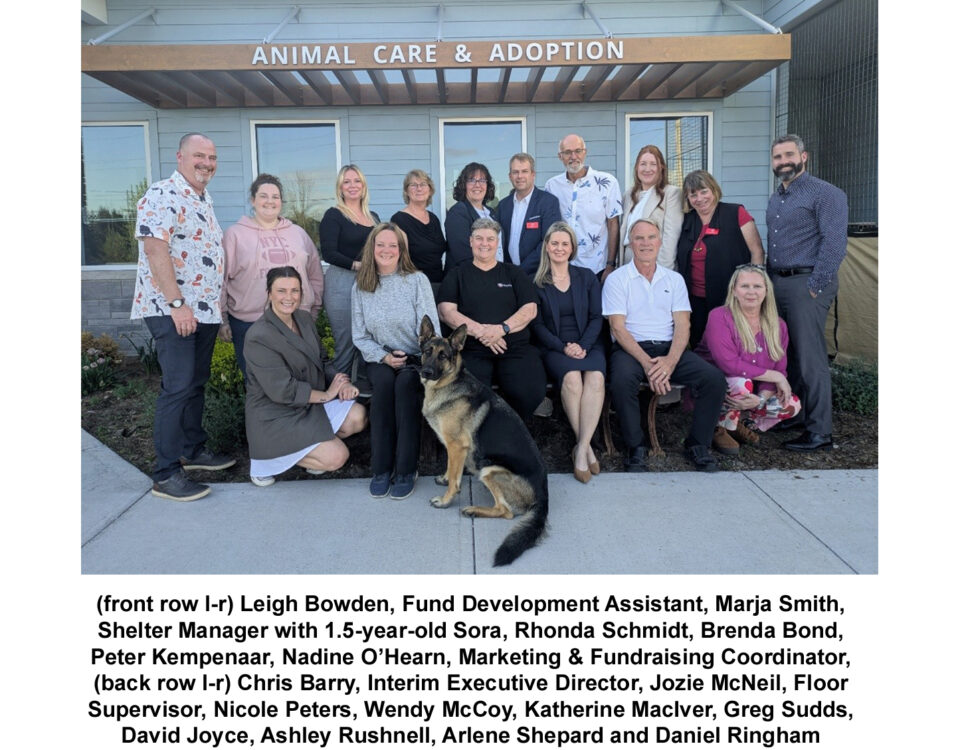 New Directors