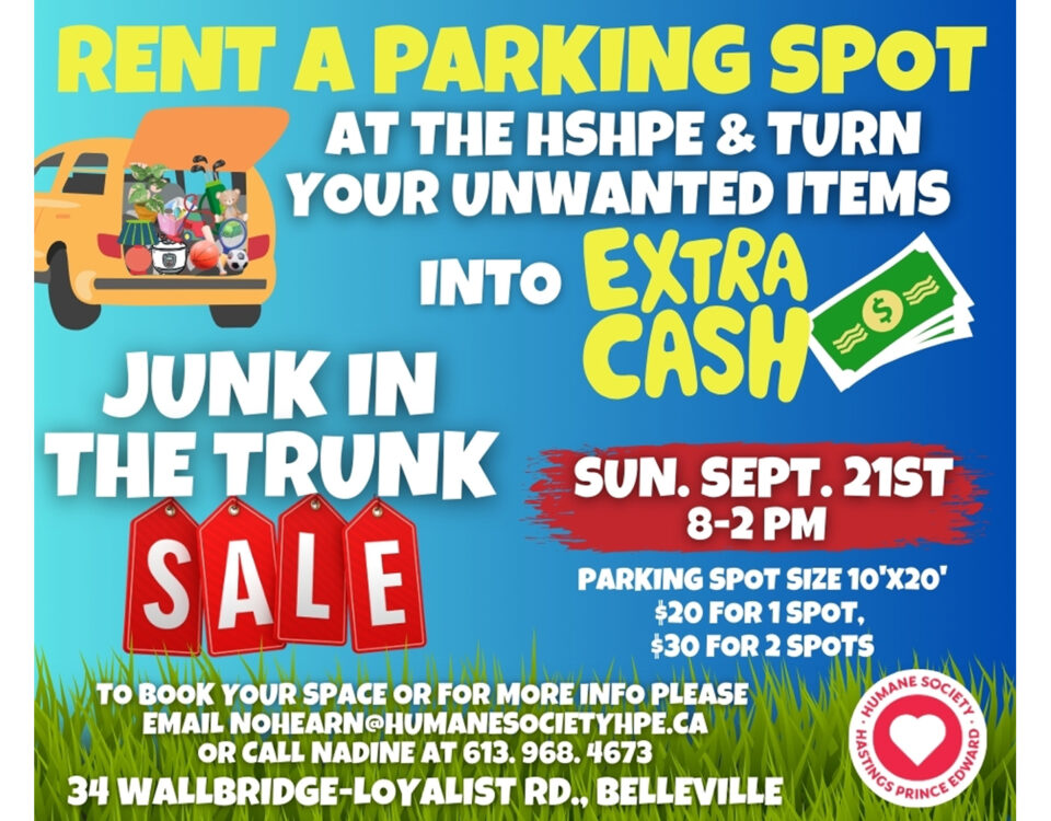 Junk In The Trunk Sale